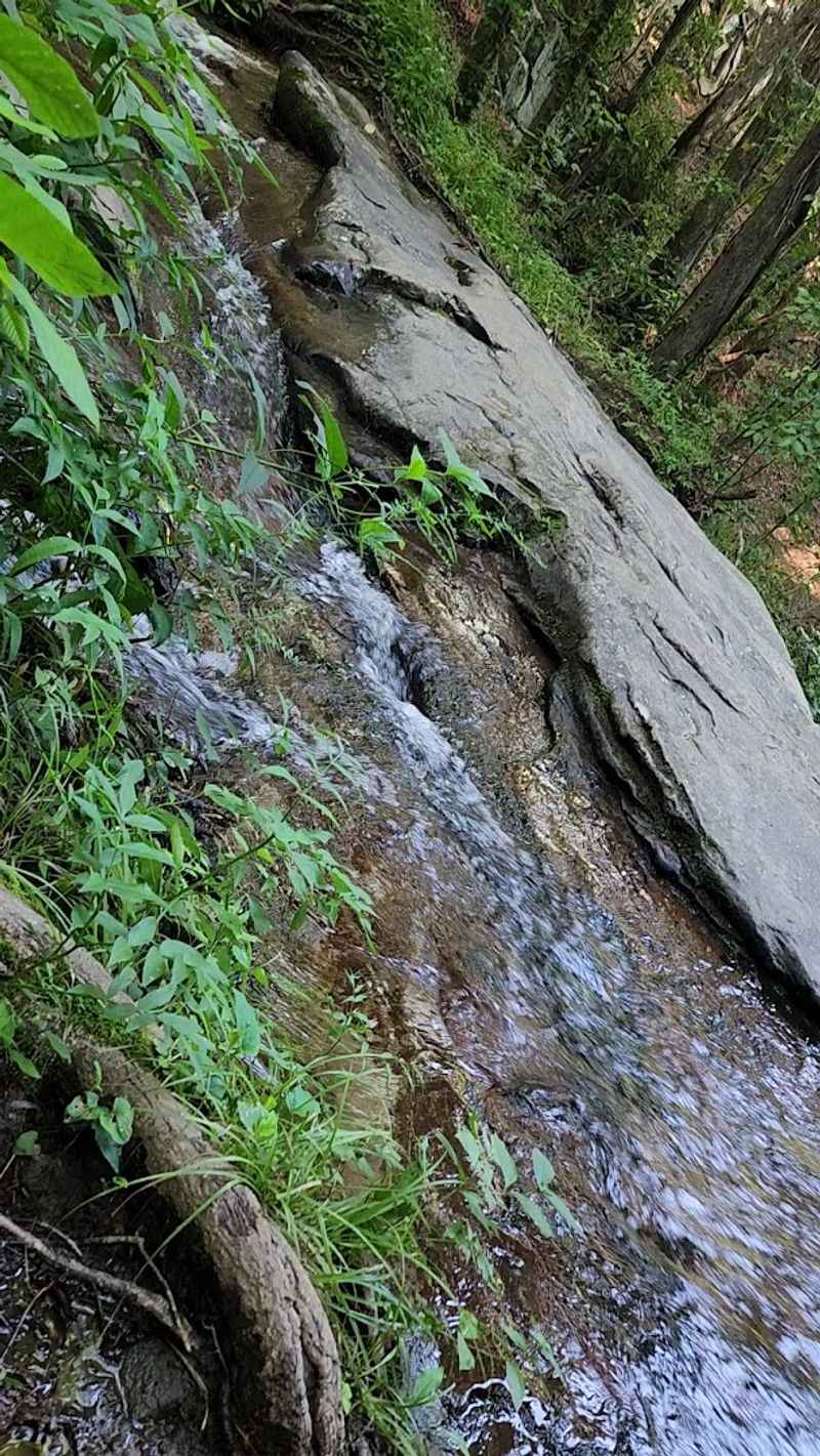 A Photographer's Dream Setting