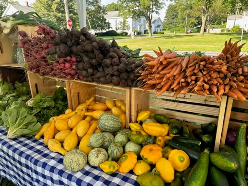 Monroe Farmers Market
