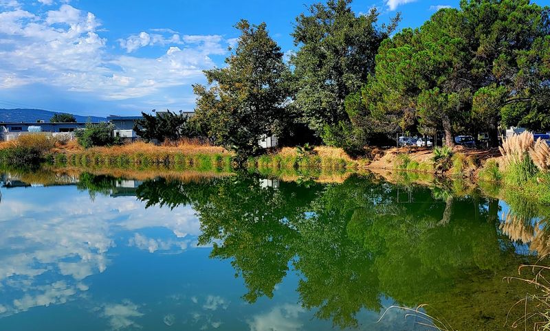 Los Gatos Creek Trail