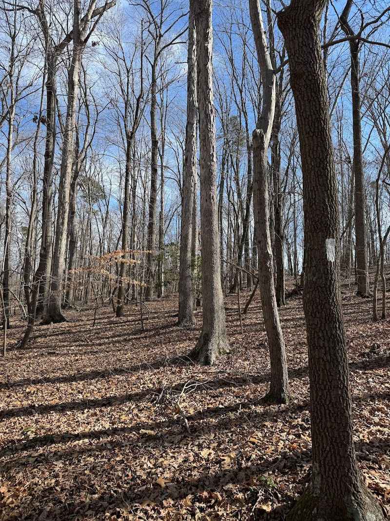 Birkhead Mountains Wilderness