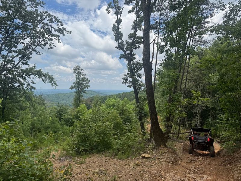 12 Reasons Everyone Is Moving To North Carolina Right Now - Decor Hint Incredible Outdoor Activities