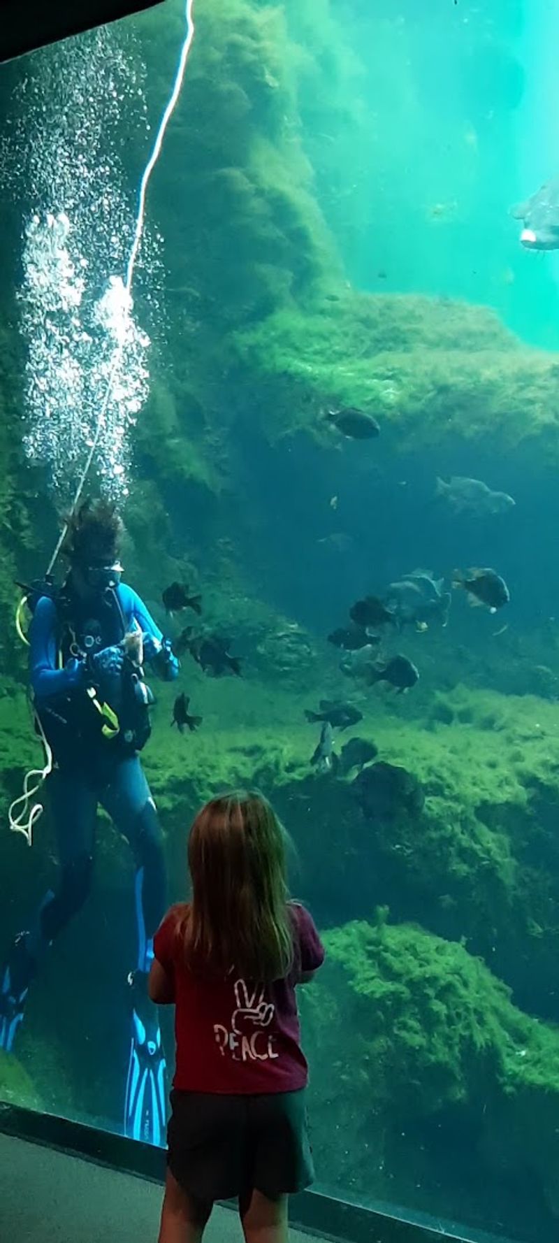 Hands-On Educational Programs