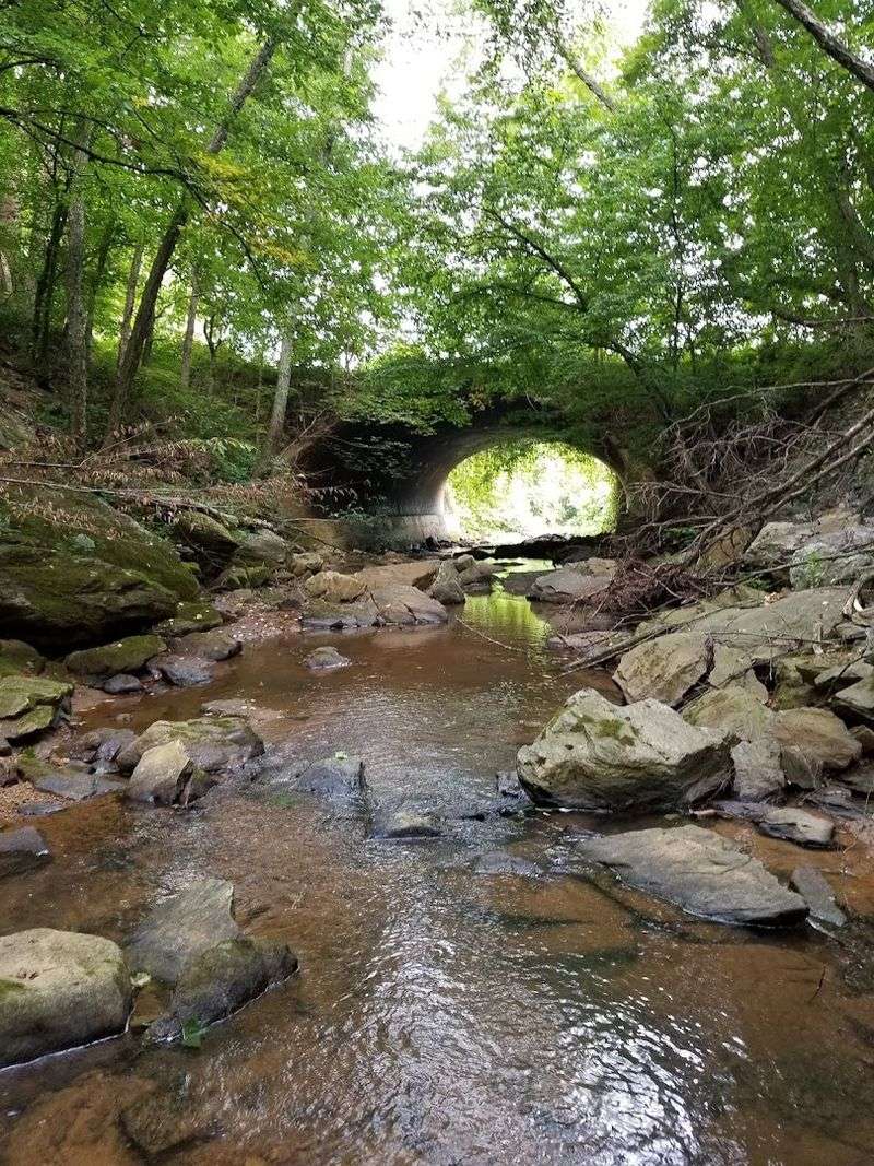 The North Carolina Mountain With Breathtaking Views Will Leave You Speechless - Decor Hint Wildlife Watching Throughout The Park