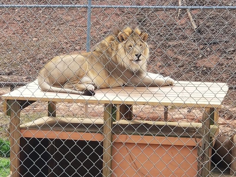 Proximity to LaGrange and Other Georgia Attractions