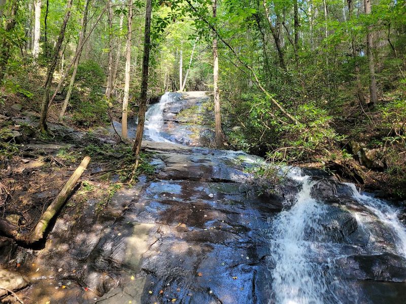A Scenic Double Waterfall That Steals the Show
