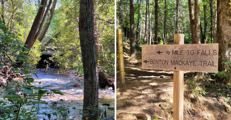 You Haven’t Explored Georgia Until You’ve Hiked This Stunning Trail With Million-Dollar Views