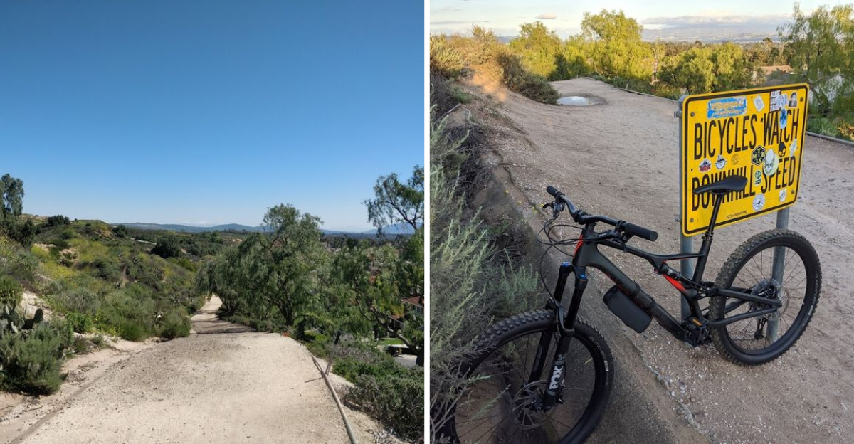 You Wont Believe How Gorgeous This California Trail Is in Spring 3 - Decor Hint