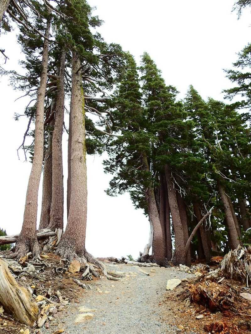 Lassen Peak Trail, Lassen Volcanic National Park
