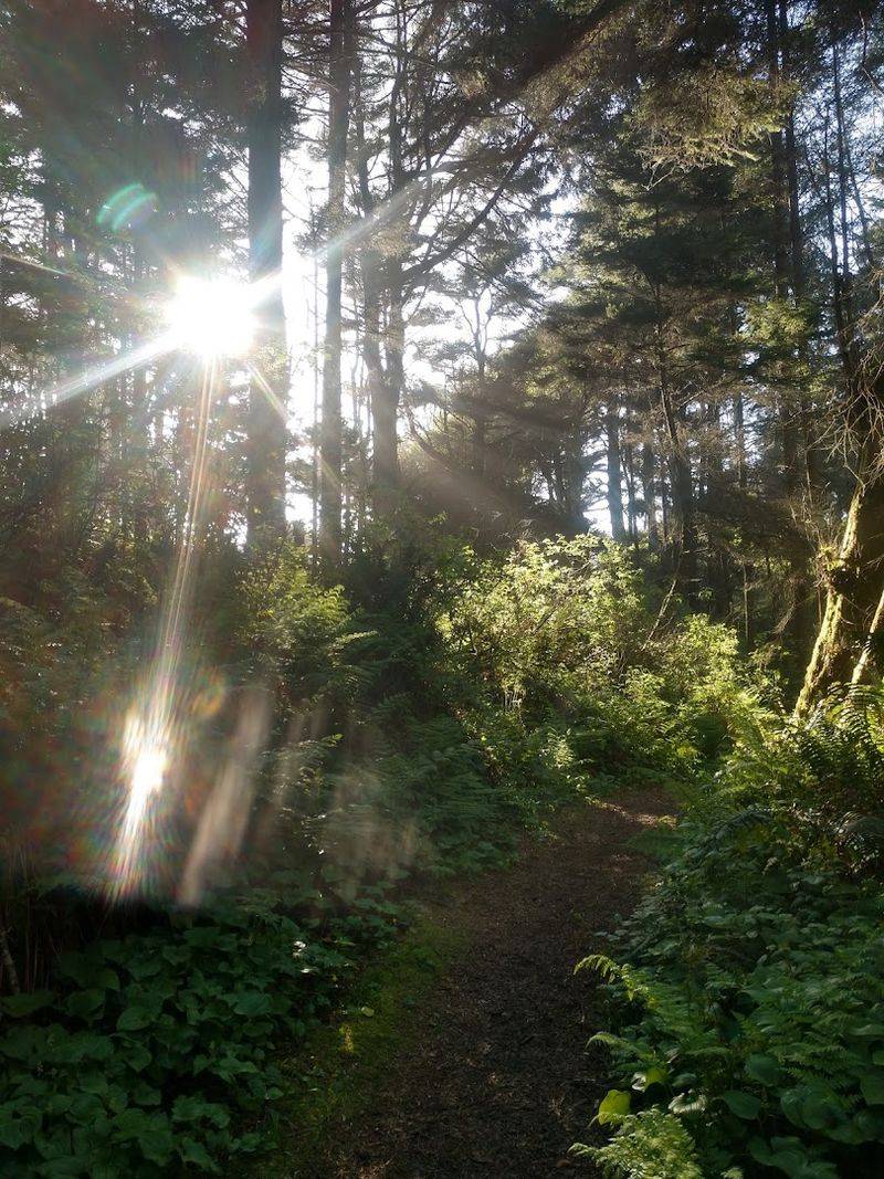 10 California Beaches Where The Coastline Still Feels Quiet And Untamed - Decor Hint Hidden Beach, Klamath