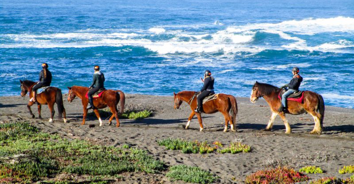 10 Dreamy California Spots For Horseback Riding Yes Including The Beach - Decor Hint