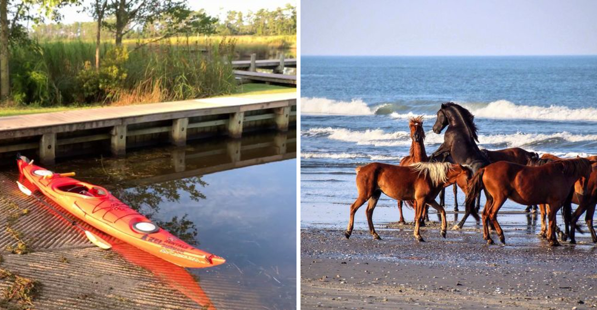 10 Easy Outdoor Adventures In North Carolina You Can Try In 2026 - Decor Hint