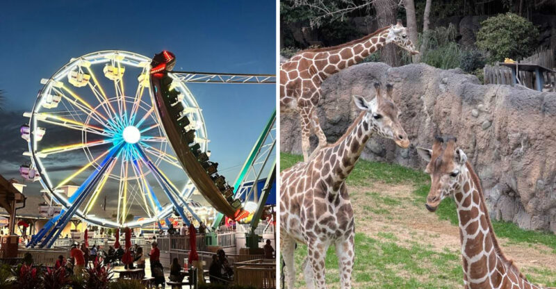 10 Kid Friendly Things To Do In Texas In 2026 That Parents Will Love Too