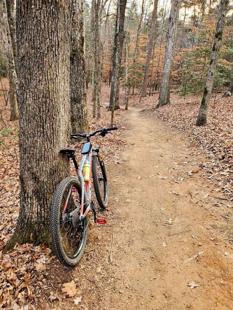Itusi Trail At Lake Norman State Park