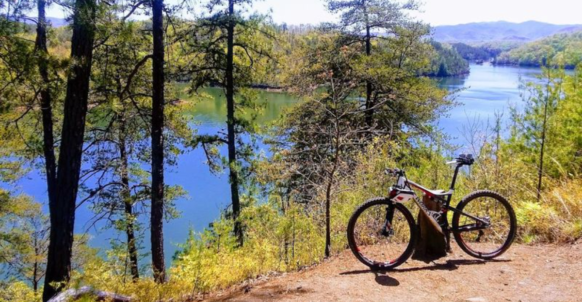 10 North Carolina Bike Trails That Feel Like A Secret Getaway In 2026 - Decor Hint