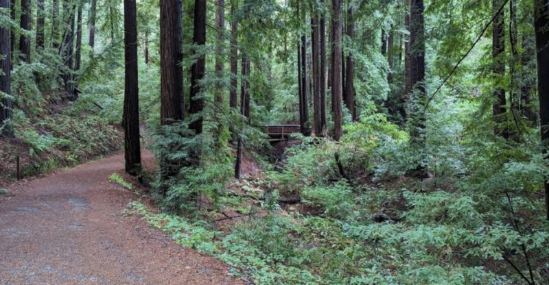 10 Quiet Hiking Trails In California Tourists Rarely Discover