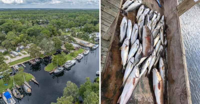 10 Rare Florida Fish Camps And Lodges That Somehow Survived The Condo Boom