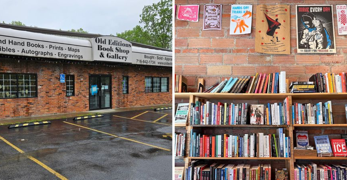 10 Western New York Bookshops Where Every Shelf Holds A Surprise - Decor Hint