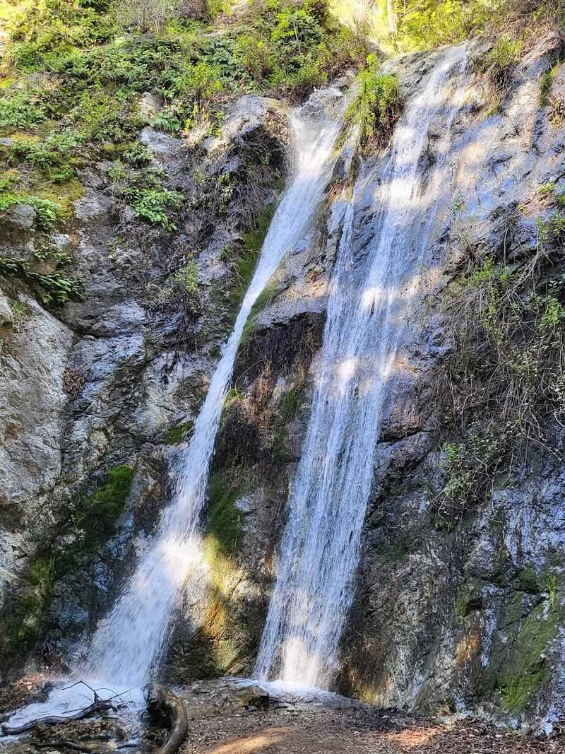Pfeiffer Falls Trail, Pfeiffer Big Sur State Park, Big Sur