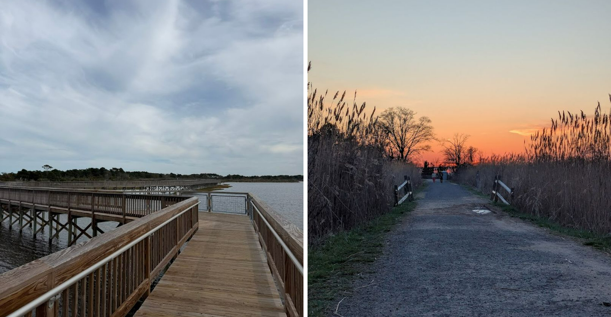 11 Classic Boardwalks Across Maryland That Still Feel Timeless - Decor Hint
