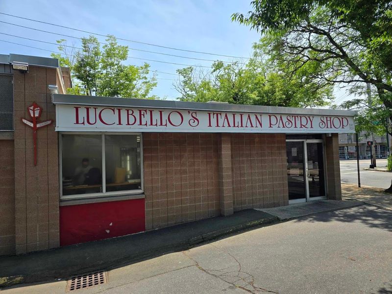 11 Iconic Connecticut Bakeries You Need To Visit At Least Once In Your Life - Decor Hint Lucibello's Italian Pastry Shop, New Haven