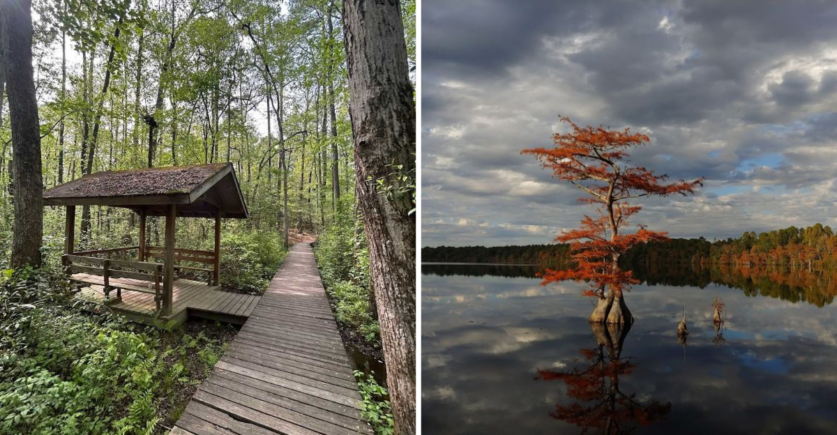 11 Underrated Nature Escapes In North Carolina For True - Decor Hint