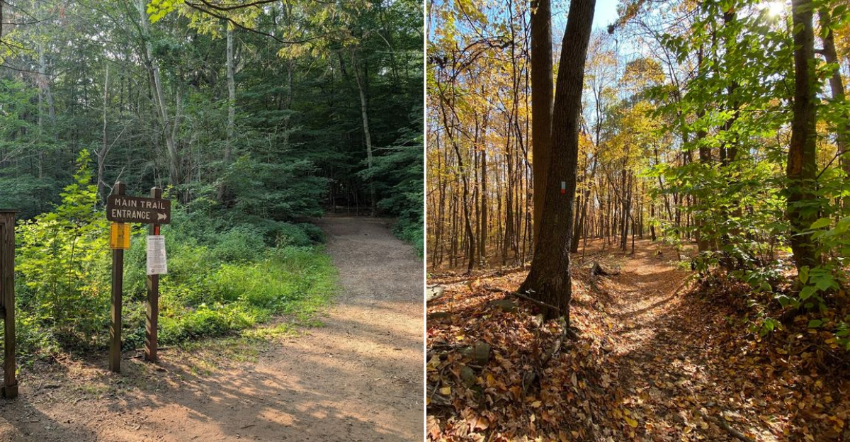 12 Connecticut Bucket List Hikes Ranked From Breezy To Bold
