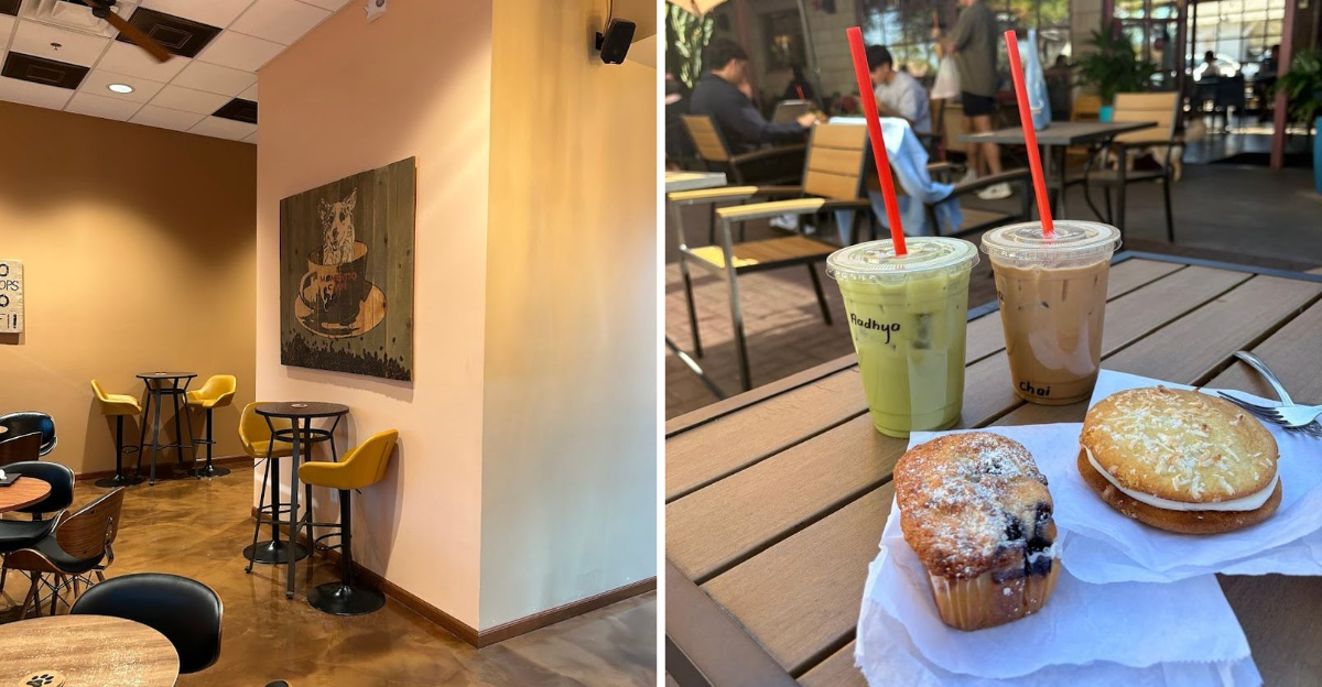 12 Cozy Arizona Coffee Shops That Turn Mornings Into A Ritual - Decor Hint