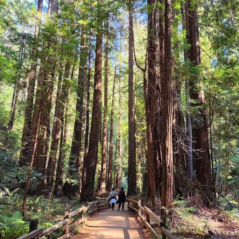 Muir Woods National Monument