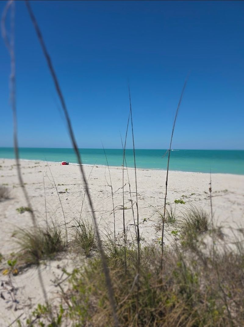 12 Florida Beaches Where You Can Escape The Crowds - Decor Hint Cayo Costa State Park