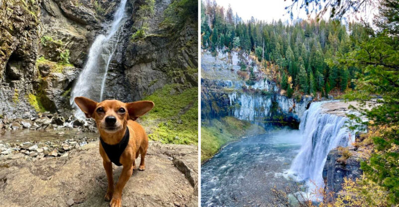 12 Hidden Waterfalls In Idaho That Are So Scenic You’ll Think You’re Dreaming