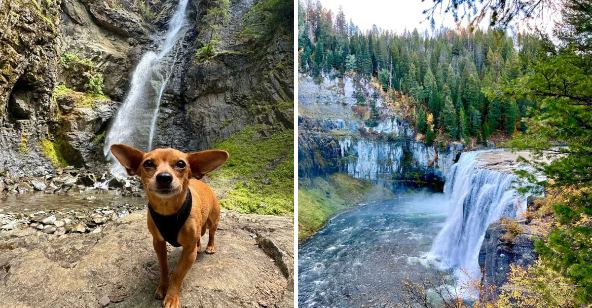 12 Hidden Waterfalls In Idaho That Are So Scenic Youll Think Youre Dreaming 2 - Decor Hint