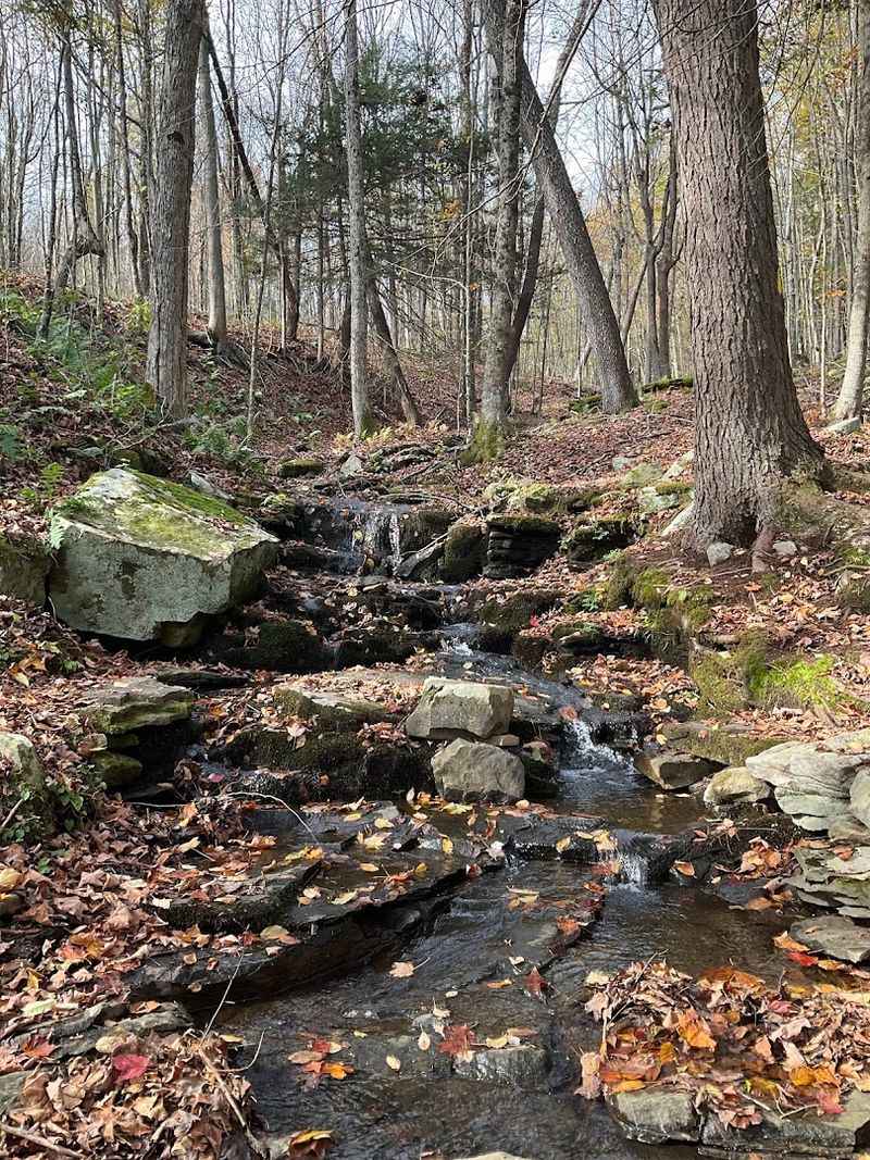 January - Eagles Mere, Sullivan County