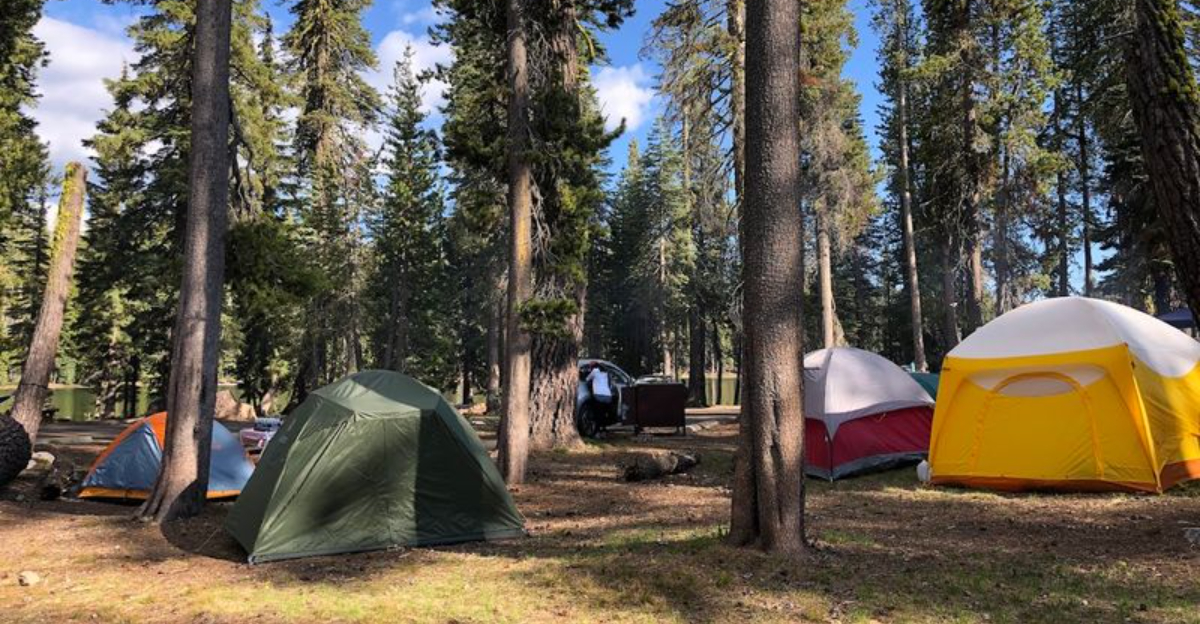 12 Mountain View Campgrounds Across Northern California That Feel Like Your Own Private Summit Escape In 2026 - Decor Hint