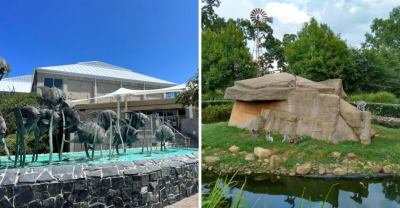 12 Unique Things To Do In North Carolina That Not Everyone Knows About