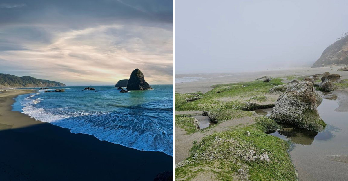 13 Enchanting Oregon Coastal Escapes Where Your Screen Time Doesnt Matter - Decor Hint