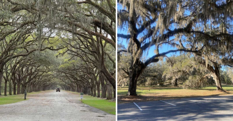 13 Historic Plantations In Georgia That’ll Transport You To Another Time