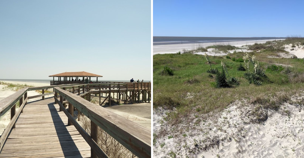 2026 Travelers Are Discovering This Secluded Beach In Georgia - Decor Hint