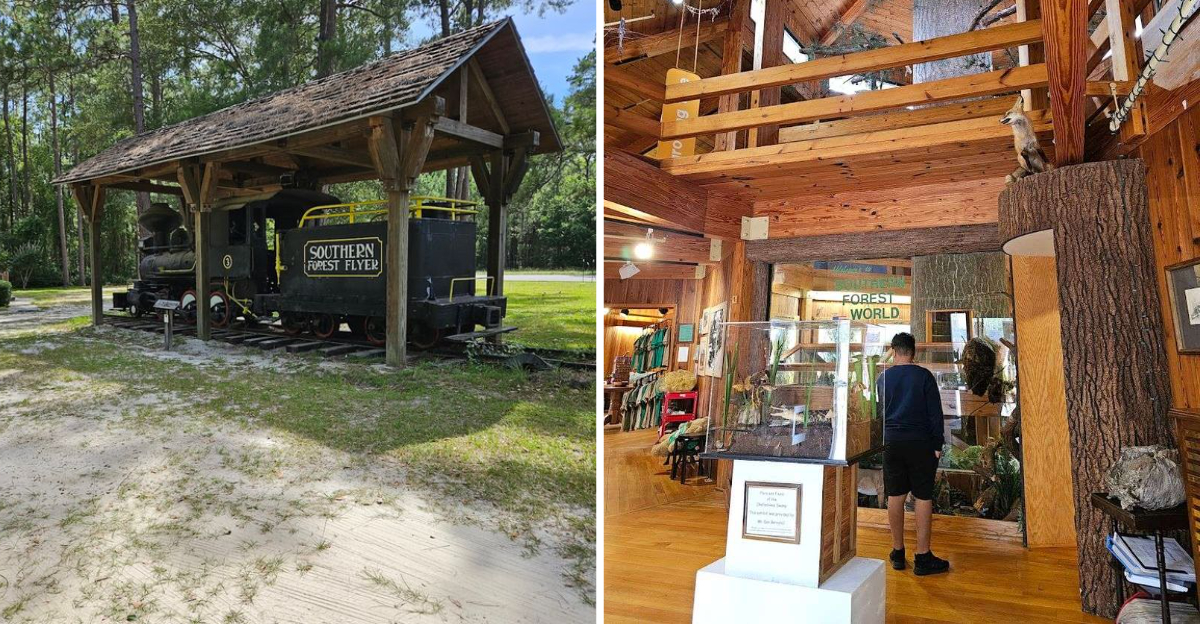2026 Visitors Are Rediscovering This Retro Amusement Park In Georgia - Decor Hint