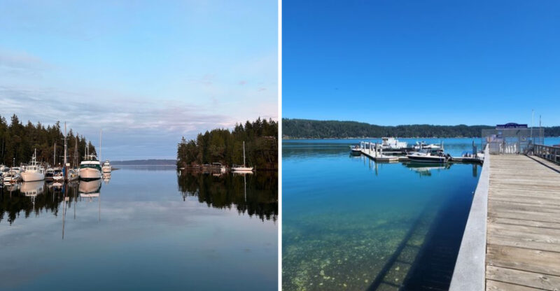 8 Coastal Harbors, Marinas, And Bays On Washington’s Olympic Peninsula Near Spot Prawn Waters