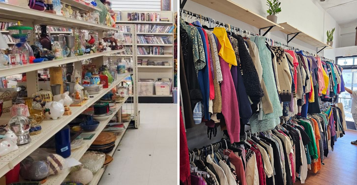 8 Colorado Thrift Shops Overflowing With Incredible Finds For Every Style - Decor Hint