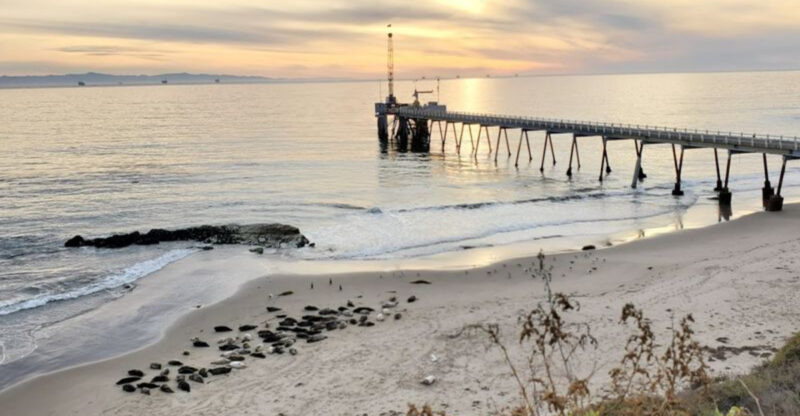 9 California Beaches With Sand So White It Looks Photoshopped