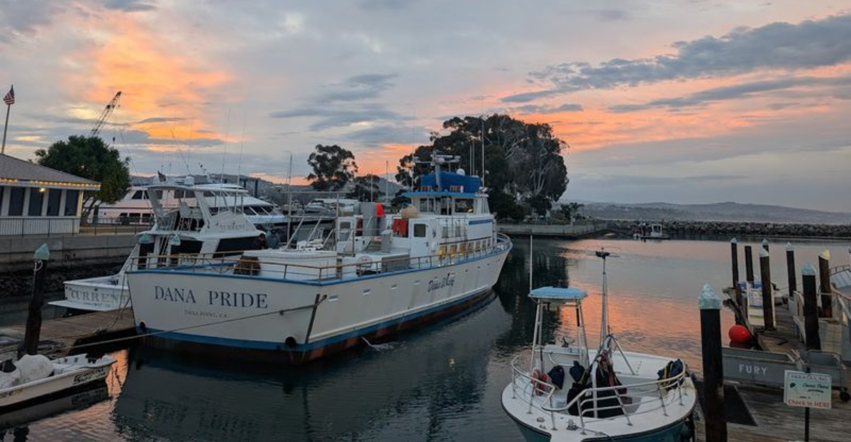 9 California Boat Trip Destinations Where The Waterfront Seafood Stop Is Half The Reason To Go - Decor Hint