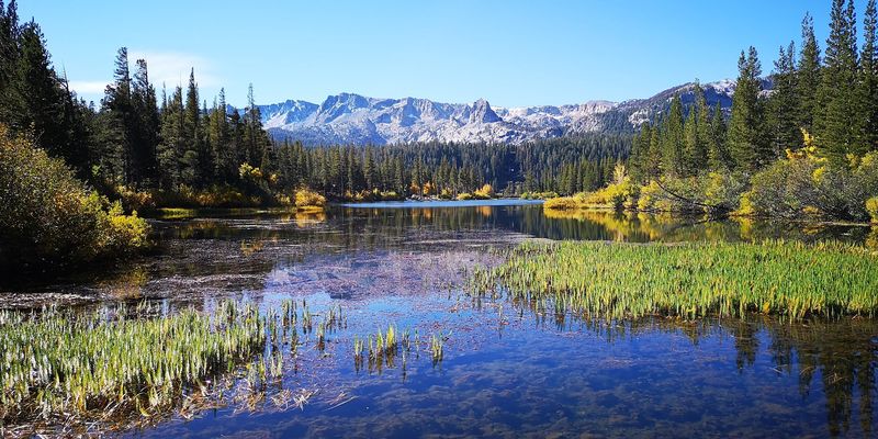 Mammoth Lakes
