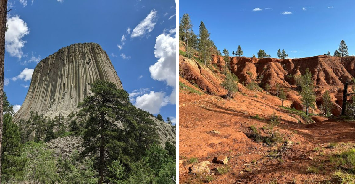 9 Fun Things To Do When Visiting Devils Tower In Wyoming - Decor Hint