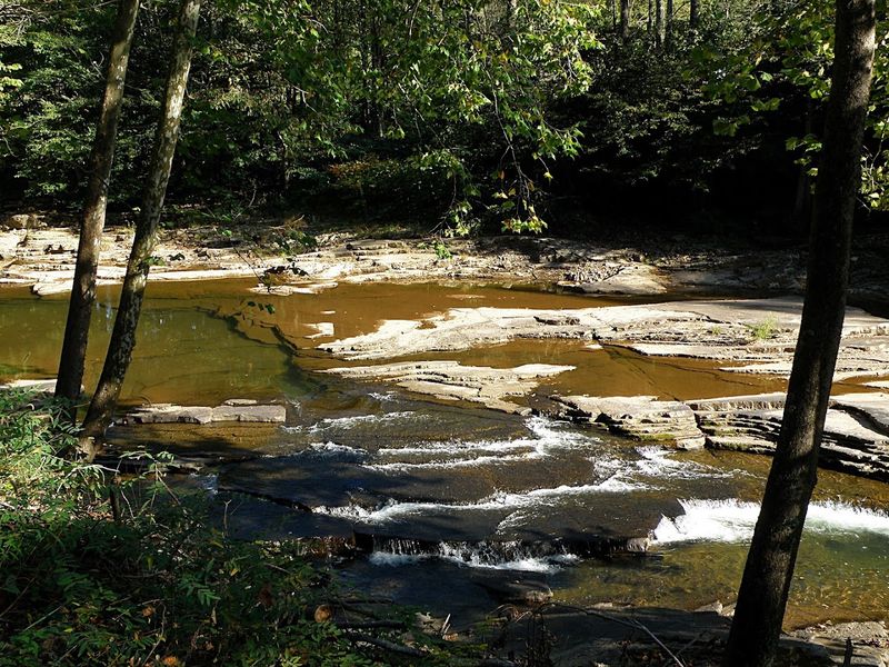 Bergoo, Webster County
