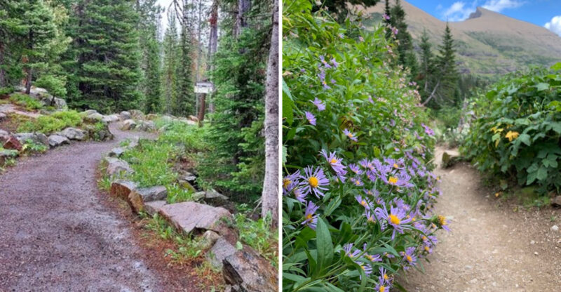 9 Montana Hikes That Match Every Skill Level And Still Feel Epic