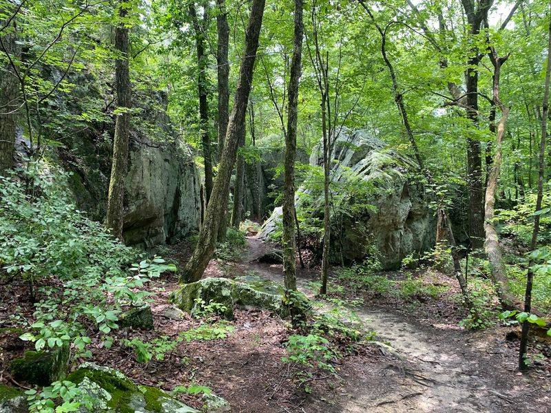 More Than 35 Miles Of Trails To Explore