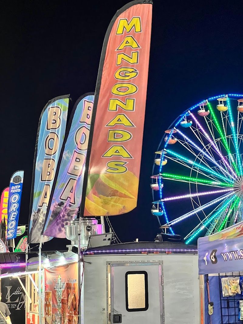 Carnival Rides That Deliver The Thrills