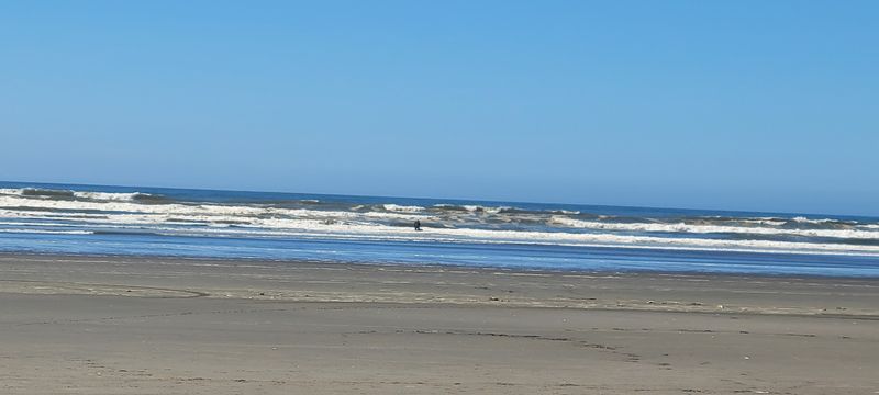 Beachcombing Treasures Worth Hunting For