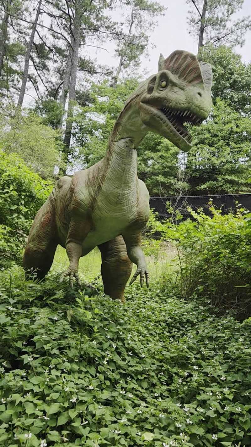 The Prehistoric Creatures On Display
